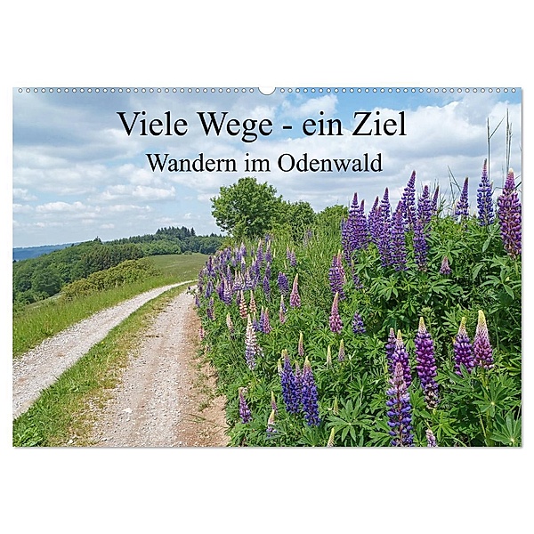 Viele Wege - ein Ziel Wandern im Odenwald (Wandkalender 2024 DIN A2 quer), CALVENDO Monatskalender, Ilona Andersen