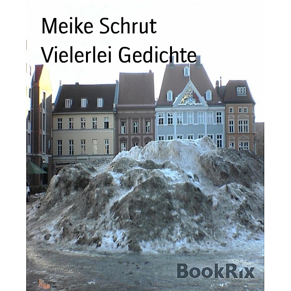 Vielerlei Gedichte, Meike Schrut