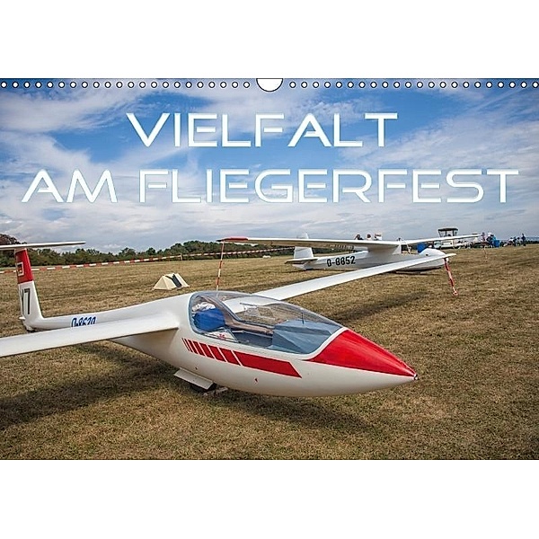 Vielfalt am Fliegerfest (Wandkalender 2017 DIN A3 quer), Liselotte Brunner-Klaus