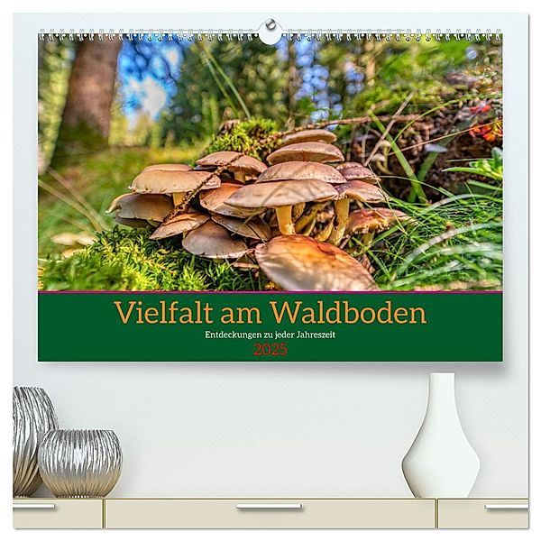 Vielfalt am Waldboden (hochwertiger Premium Wandkalender 2025 DIN A2 quer), Kunstdruck in Hochglanz, Calvendo, Torsten Irmer