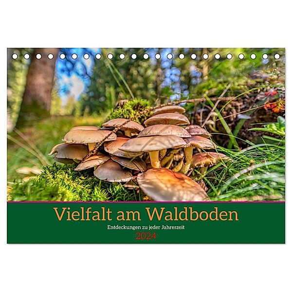 Vielfalt am Waldboden (Tischkalender 2024 DIN A5 quer), CALVENDO Monatskalender, Torsten Irmer