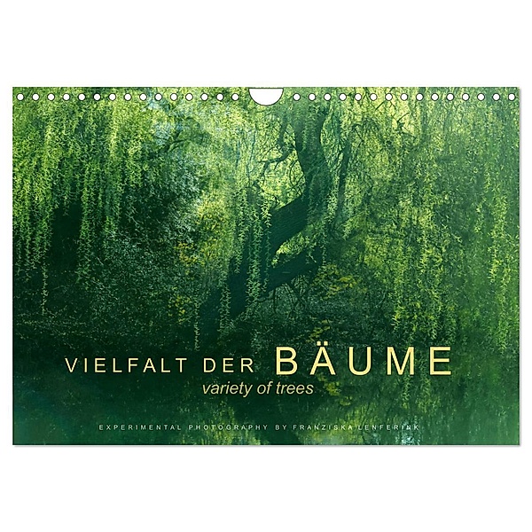 Vielfalt der Bäume - variety of trees (Wandkalender 2024 DIN A4 quer), CALVENDO Monatskalender, Franziska Lenferink