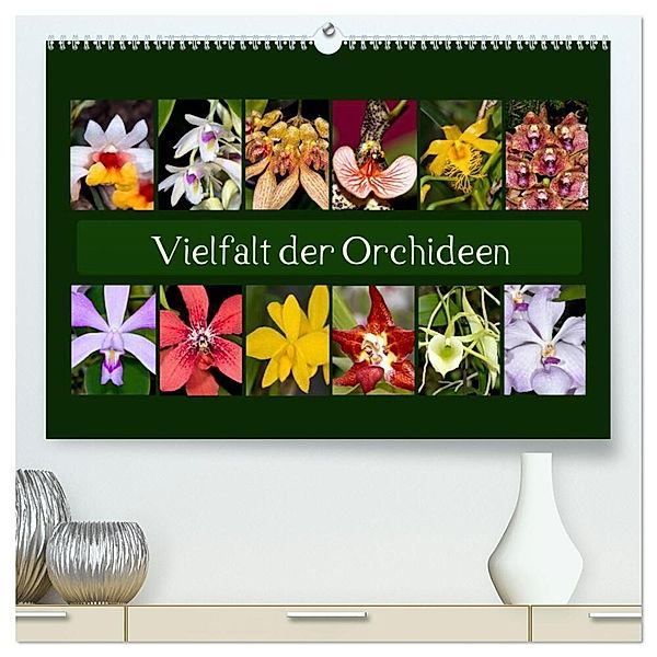 Vielfalt der Orchideen (hochwertiger Premium Wandkalender 2024 DIN A2 quer), Kunstdruck in Hochglanz, Eerika Schulz
