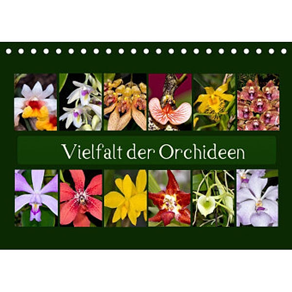 Vielfalt der Orchideen (Tischkalender 2022 DIN A5 quer), Eerika Schulz