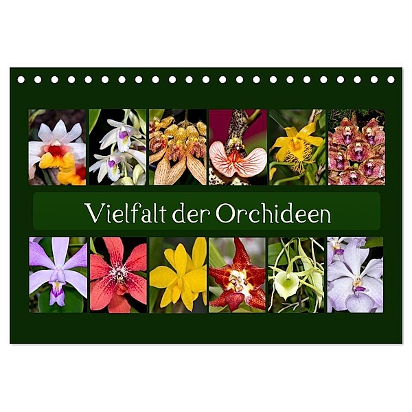 Vielfalt der Orchideen (Tischkalender 2024 DIN A5 quer), CALVENDO Monatskalender, Eerika Schulz