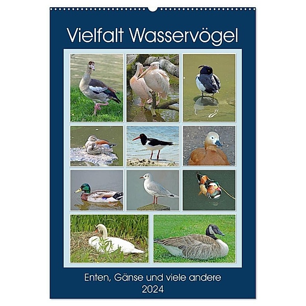 Vielfalt Wasservögel (Wandkalender 2024 DIN A2 hoch), CALVENDO Monatskalender, Claudia Kleemann