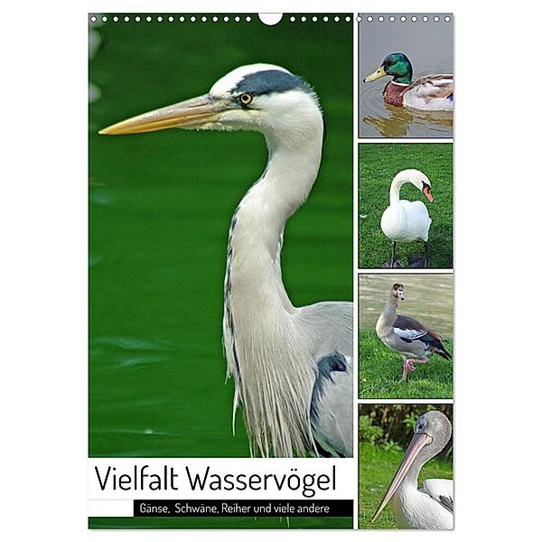 Vielfalt Wasservögel (Wandkalender 2024 DIN A3 hoch), CALVENDO Monatskalender, Claudia Kleemann