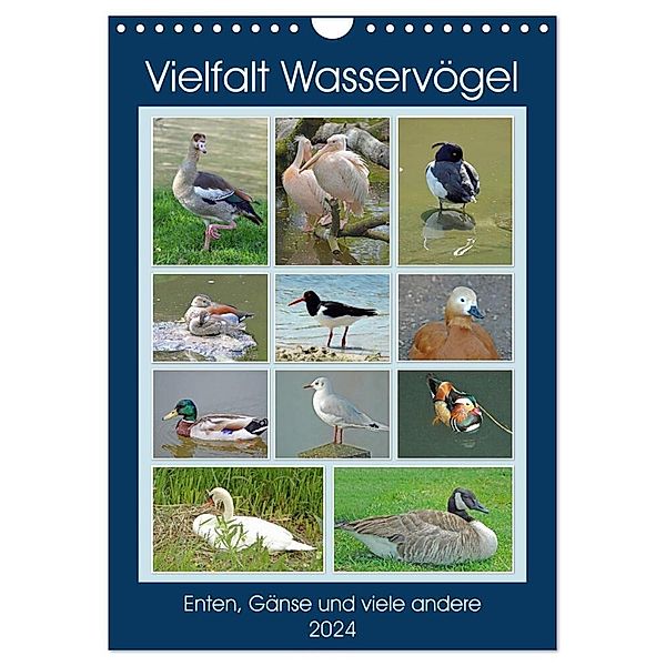 Vielfalt Wasservögel (Wandkalender 2024 DIN A4 hoch), CALVENDO Monatskalender, Claudia Kleemann