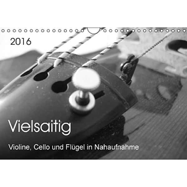 Vielsaitig - Violine, Cello und Flügel in Nahaufnahme (Wandkalender 2016 DIN A4 quer), Nicole Ziegler