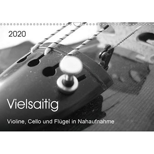 Vielsaitig - Violine, Cello und Flügel in Nahaufnahme (Wandkalender 2020 DIN A3 quer), Nicole Ziegler