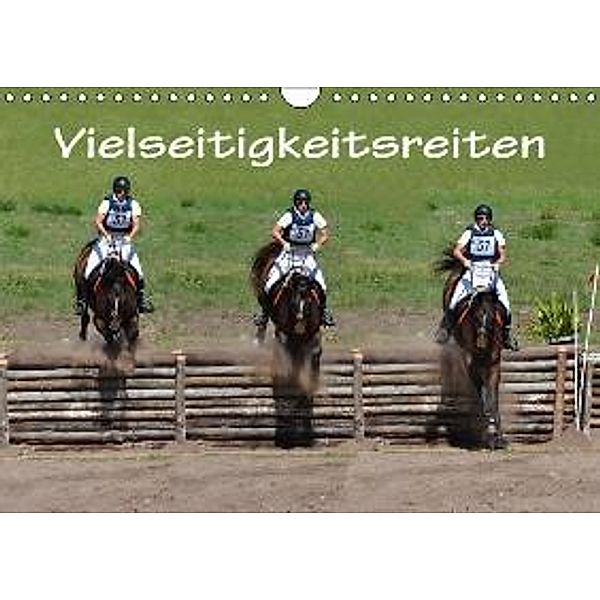 Vielseitigkeitsreiten (Wandkalender 2016 DIN A4 quer), Anke van Wyk