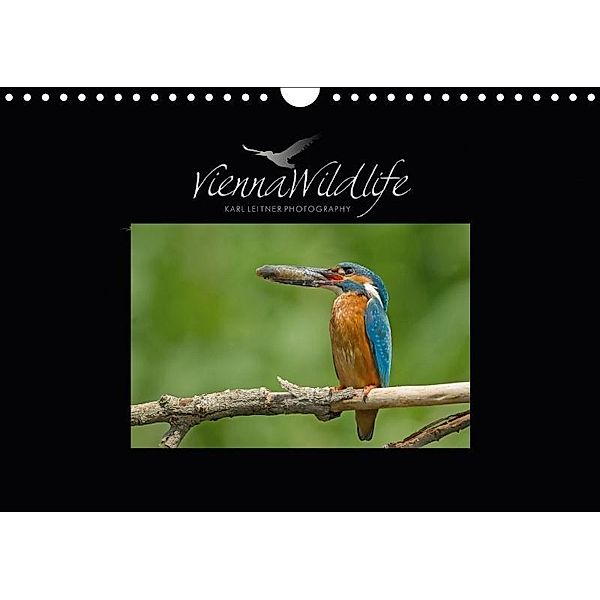 Vienna Wildlife 2017 (Wandkalender 2017 DIN A4 quer), Karl Leitner, Vienna Wildlife/Karl Leitner Photography