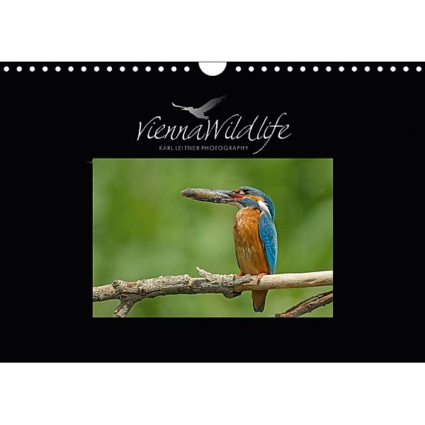 Vienna Wildlife 2018 (Wandkalender 2018 DIN A4 quer), Karl Leitner
