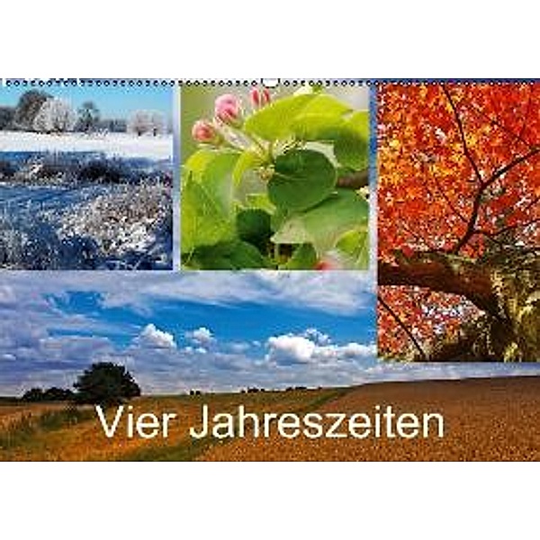 Vier Jahreszeiten (Wandkalender 2015 DIN A2 quer), Bernd Dembkowski