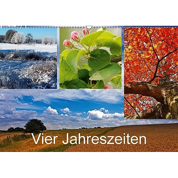 Vier Jahreszeiten (Wandkalender 2017 DIN A2 quer), Bernd Dembkowski