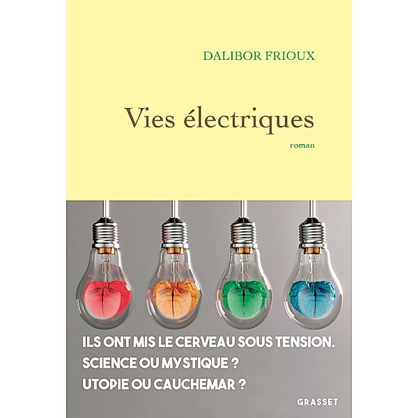 Vies électriques / Littérature Française, Dalibor Frioux