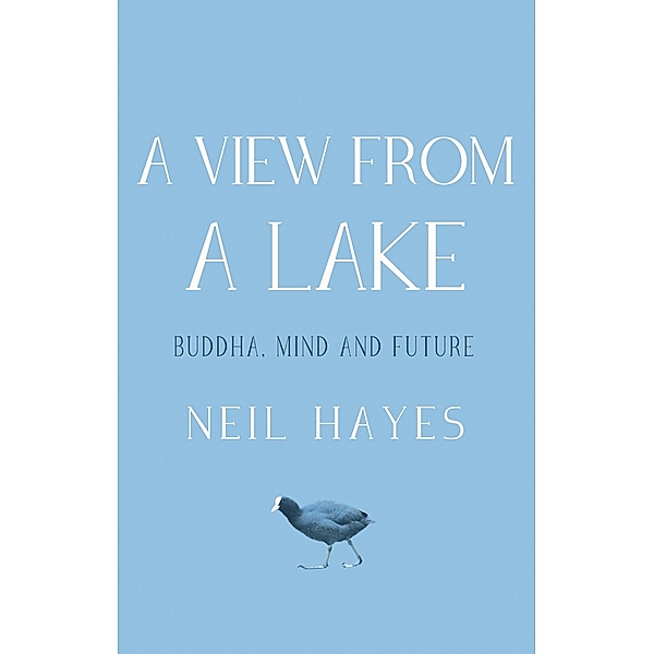 View From A Lake, Neil Hayes