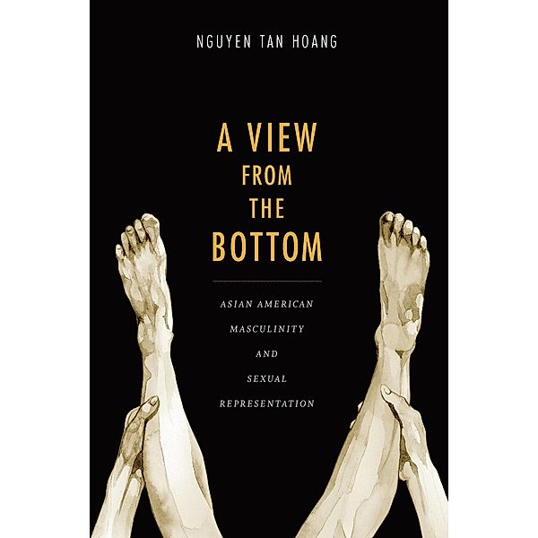 View from the Bottom / Perverse modernities, Nguyen Tan Hoang Nguyen