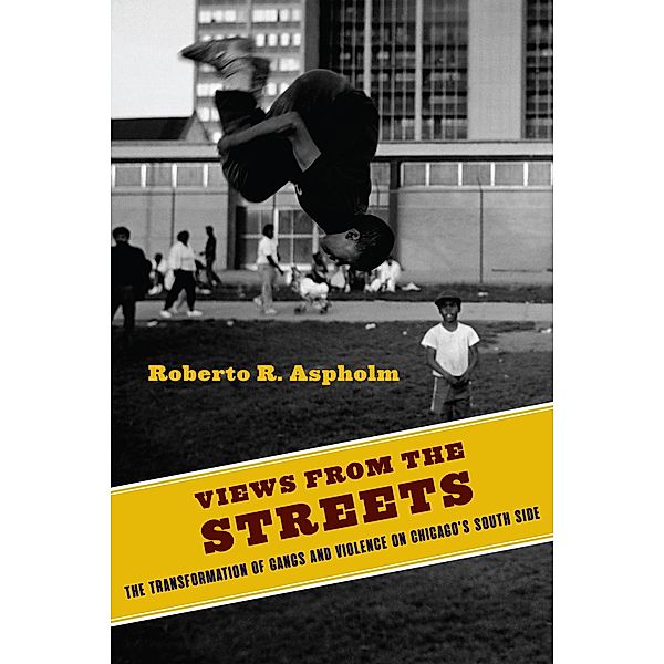 Views from the Streets / Studies in Transgression, Roberto Aspholm