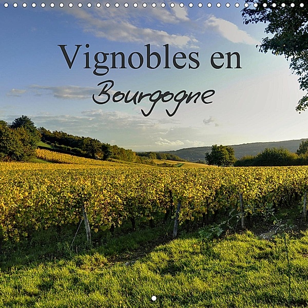 Vignobles en Bourgogne (Calendrier mural 2021 300 × 300 mm Square), Didier Sibourg