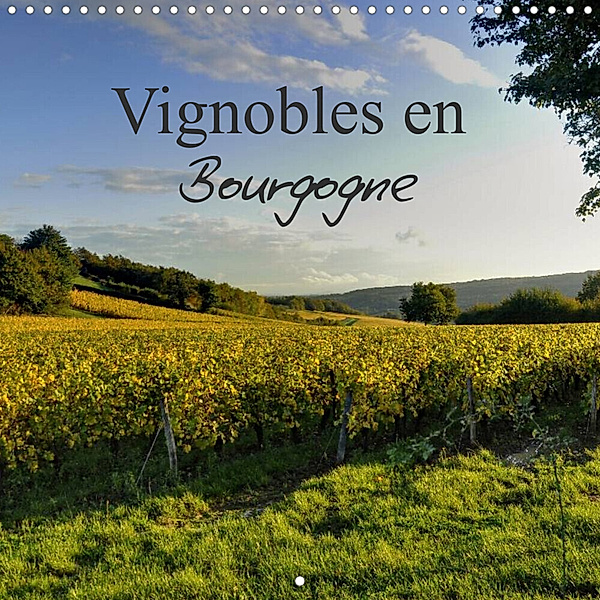 Vignobles en Bourgogne (Calendrier mural 2023 300 × 300 mm Square), Didier Sibourg