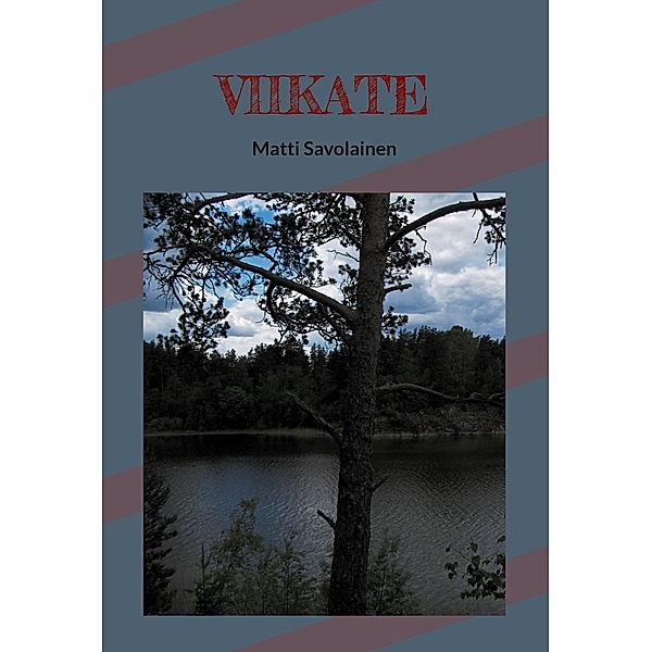 VIIKATE, Matti Savolainen