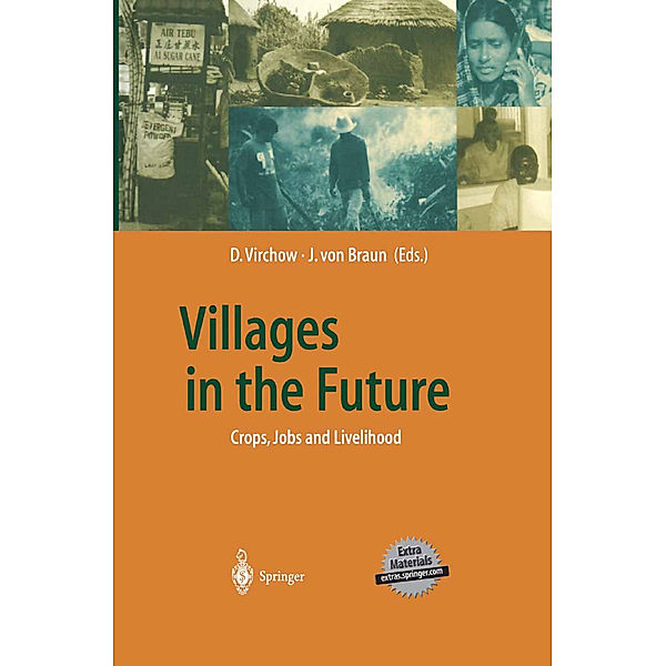 Villages in the Future