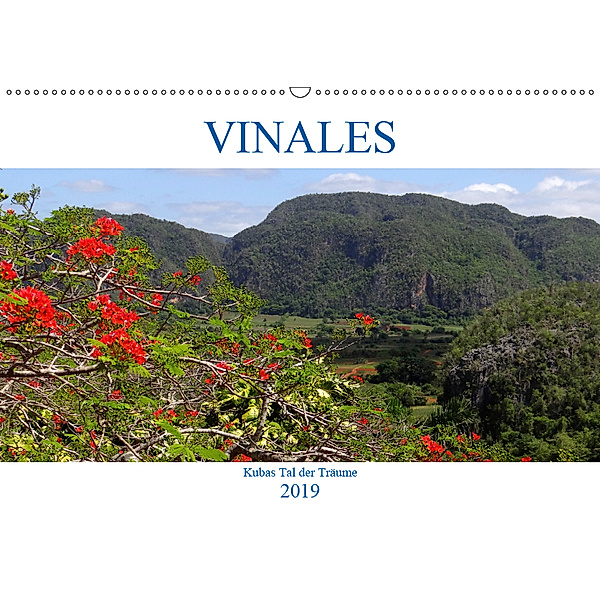 VIÑALES - Kubas Tal der Träume (Wandkalender 2019 DIN A2 quer), Henning von Löwis of Menar