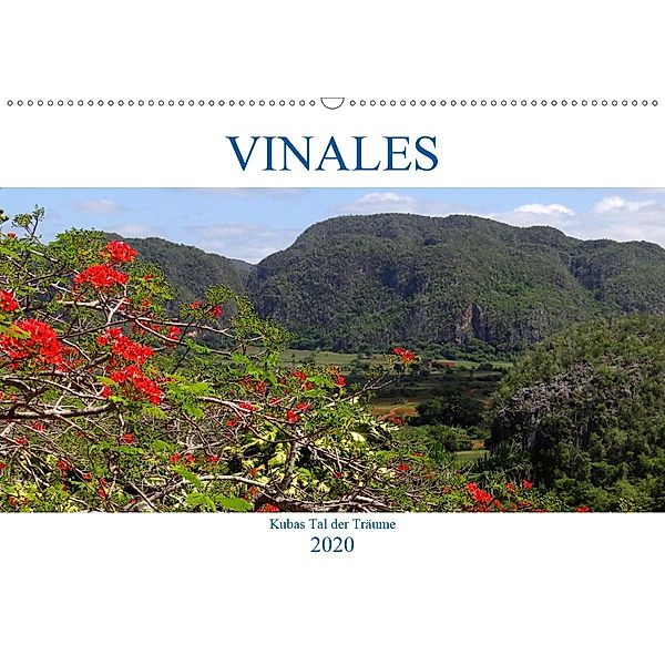 VIÑALES - Kubas Tal der Träume (Wandkalender 2020 DIN A2 quer), Henning von Löwis of Menar