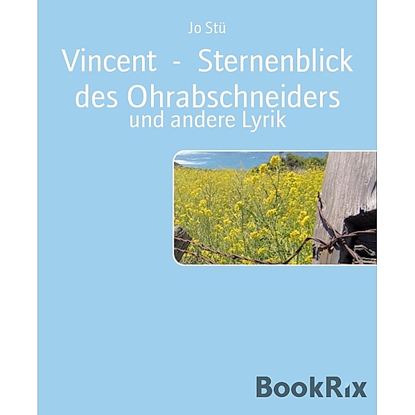 Vincent  -  Sternenblick des Ohrabschneiders, Jo Stü