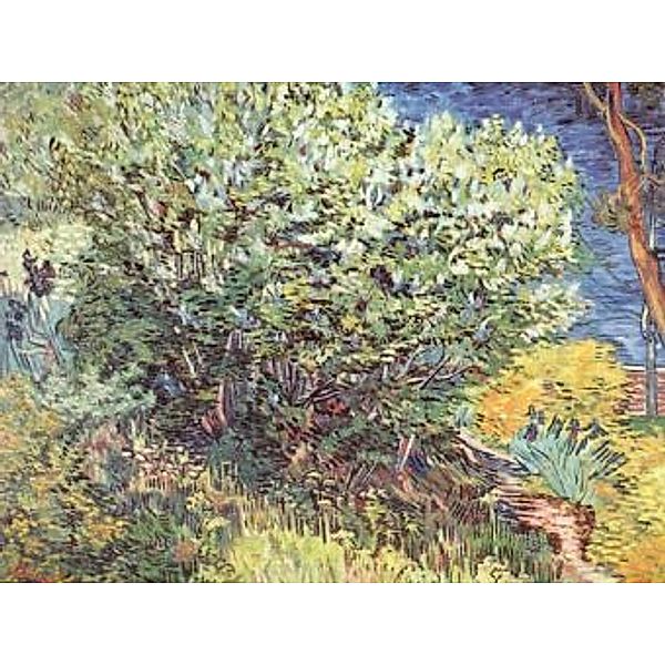 Vincent Willem van Gogh - Die Büsche - 100 Teile (Puzzle)