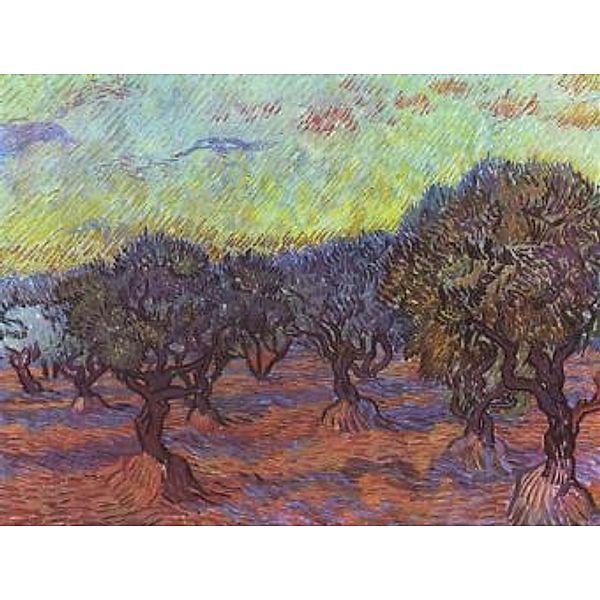Vincent Willem van Gogh - Olivenhain - 1.000 Teile (Puzzle)