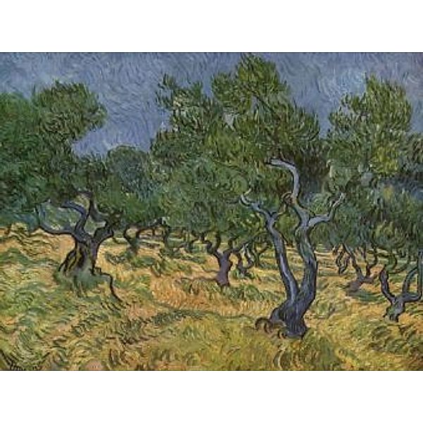 Vincent Willem van Gogh - Olivenhain - 2.000 Teile (Puzzle)