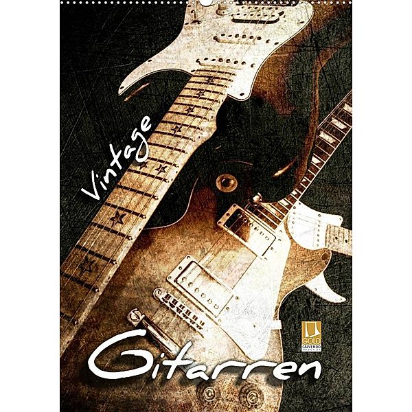 Vintage Gitarren (Wandkalender 2023 DIN A2 hoch), Renate Bleicher