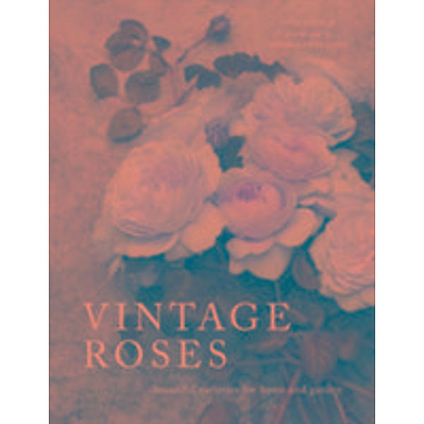 Vintage Roses, Jane Eastoe, Georgianna Lane