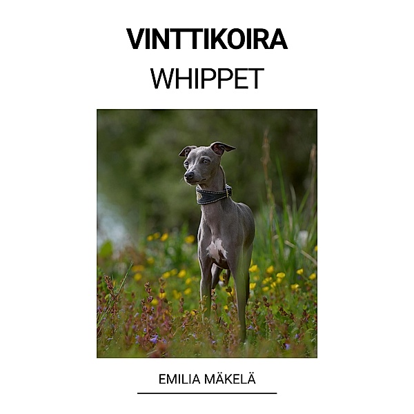 Vinttikoira (Whippet), Emilia Mäkelä