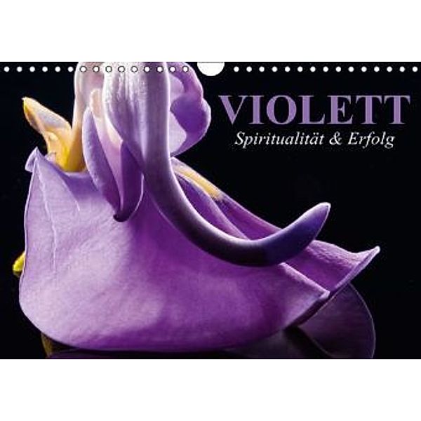 Violett Spiritualität & Erfolg (Wandkalender 2015 DIN A4 quer), Elisabeth Stanzer