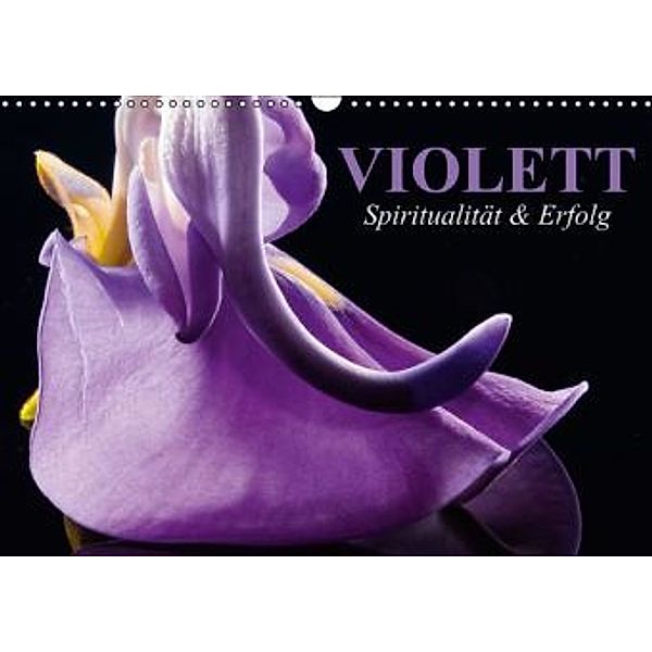 Violett Spiritualität & Erfolg (Wandkalender 2015 DIN A3 quer), Elisabeth Stanzer