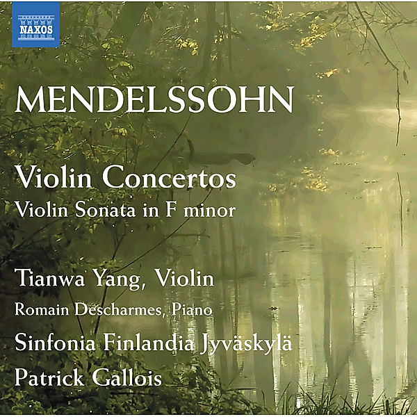 Violinkonzerte, Tianwa Yang, Patrick Gallois