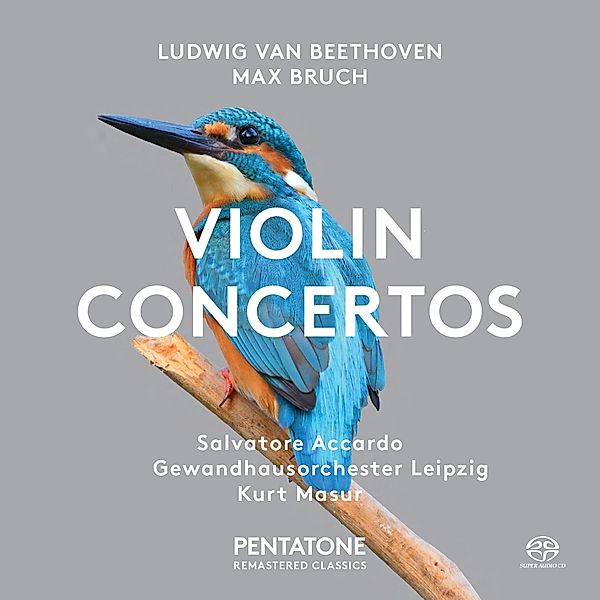 Violinkonzerte, Ludwig van Beethoven, Max Bruch