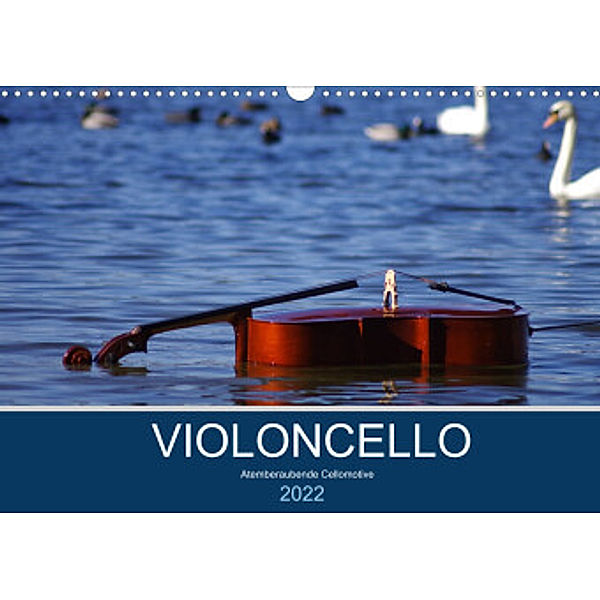 VIOLONCELLO - atemberaubende Cellomotive (Wandkalender 2022 DIN A3 quer), Daniel Hoffmann