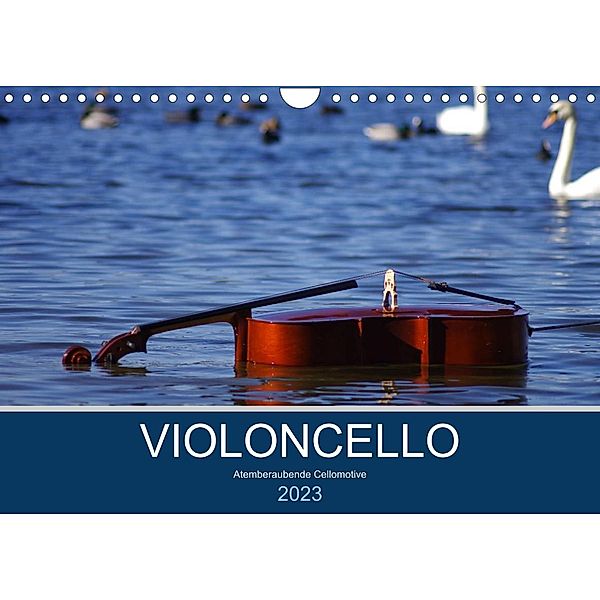 VIOLONCELLO - atemberaubende Cellomotive (Wandkalender 2023 DIN A4 quer), Daniel Hoffmann