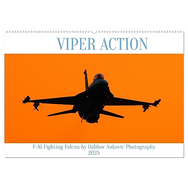VIPER ACTION - F-16 FIGHTING FALCON (Wandkalender 2025 DIN A2 quer), CALVENDO Monatskalender, Calvendo, DALIBOR ANKOVIC