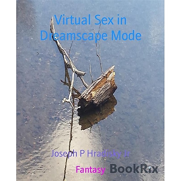 Virtual Sex in Dreamscape Mode, Joseph P Hradisky Jr