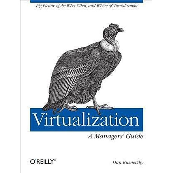 Virtualization: A Manager's Guide, Dan Kusnetzky