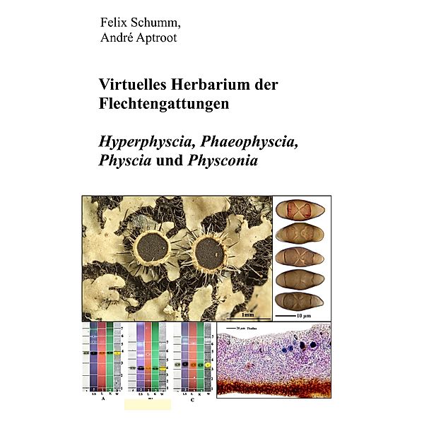 Virtuelles Herbarium der Flechtgattungen, Felix Schumm