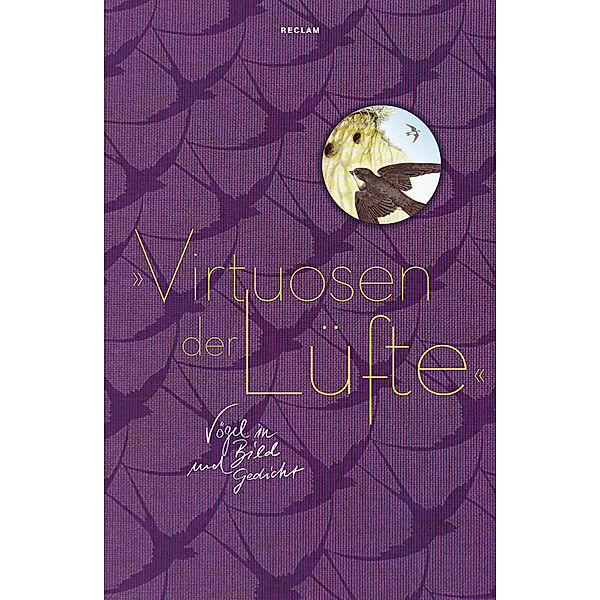 Virtuosen der Lüfte