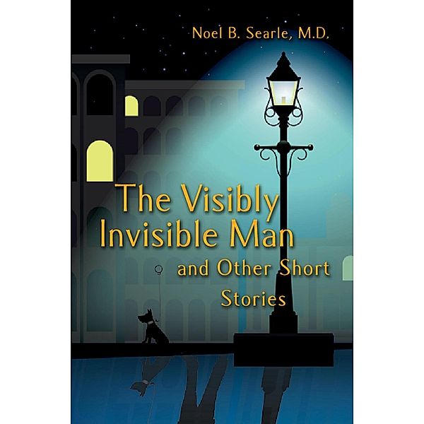 Visibly Invisible Man / SBPRA, Noel Searle