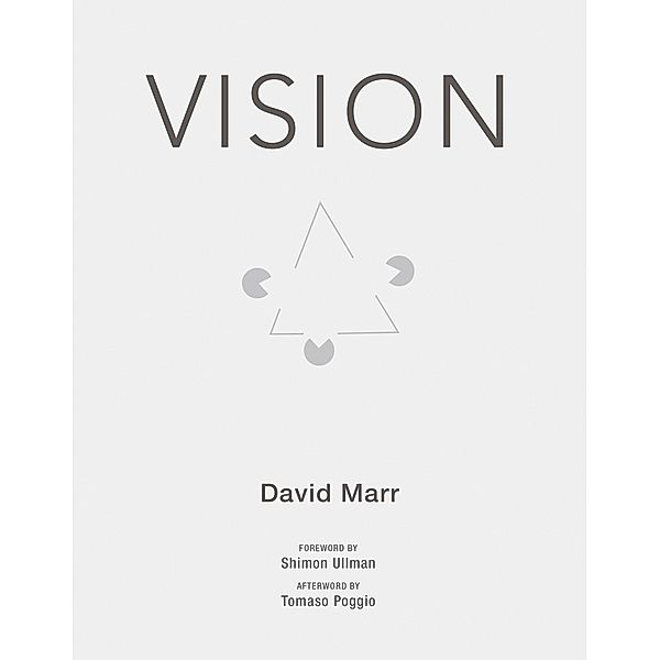 Vision, David Marr