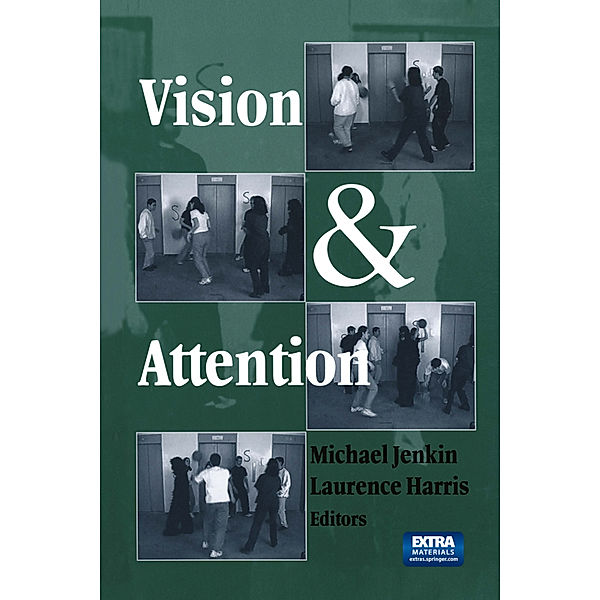 Vision and Attention